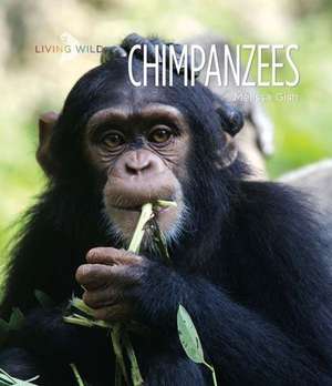 Chimpanzees de Melissa Gish