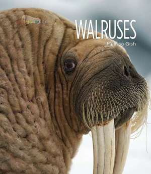 Walruses de Melissa Gish