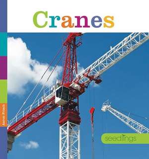 Cranes de Aaron Frisch