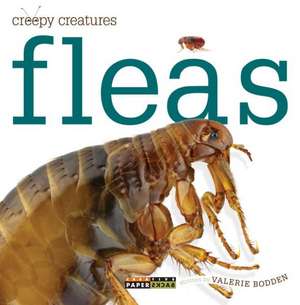 Fleas de Valerie Bodden