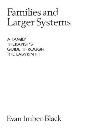 Families and Larger Systems: A Family Therapist's Guide through the Labyrinth de Evan Imber-Black