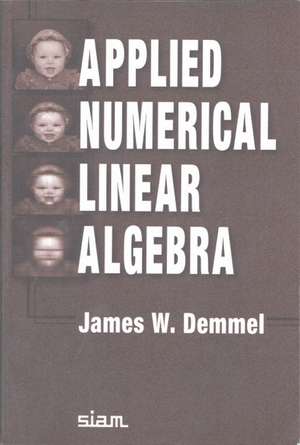 Applied Numerical Linear Algebra de James W. Demmel