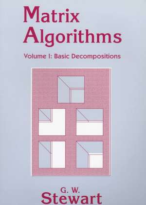 Matrix Algorithms: Volume 1, Basic Decompositions de G. W. Stewart