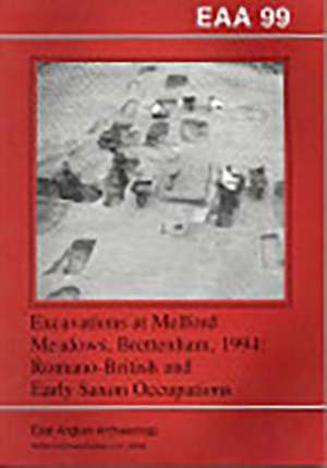 Excavations at Melford Meadows, Brettenham, 1994: Romano-British and Early Saxon Occupations de Andrew Mudd