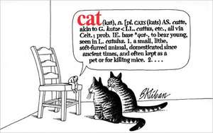 Cat de B. Kliban