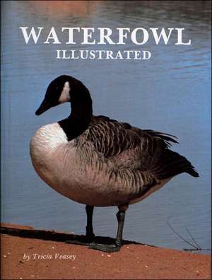 Waterfowl Illustrated de T. Veasey