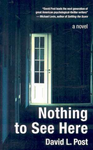 Nothing to See Here de David L. Post