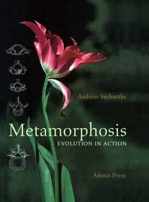 Metamorphosis de Andreas Suchantke