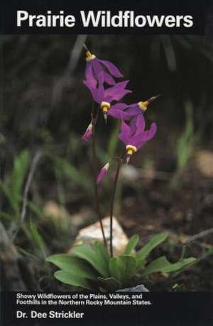 Prairie Wildflowers de Dee Strickler