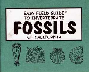 EASY FGT INVERTEBRATE FOSSILS