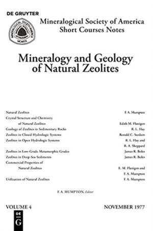 Mineralogy and Geology of Natural Zeolites de Fred A. Mumpton