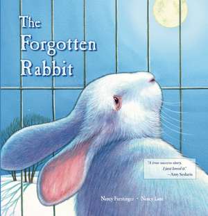 The Forgotten Rabbit de Nancy Furstinger