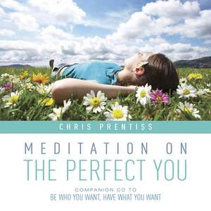 Meditation on the Perfect You de Chris Prentiss