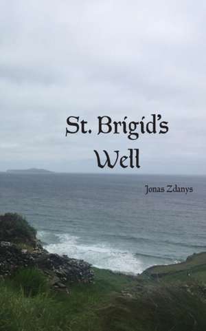 St. Brigid's Well de Jonas Zdanys