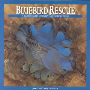 Bluebird Rescue: Country Life Nature Guide de Joan Rattner Heilman