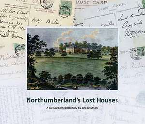 Davidson, J: Northumberland's Lost Houses de Jim Davidson