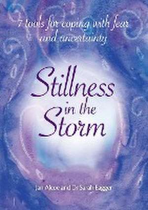 Stillness In The Storm - 7 Tools For Coping with fear and uncertainty de Jan Alcoe