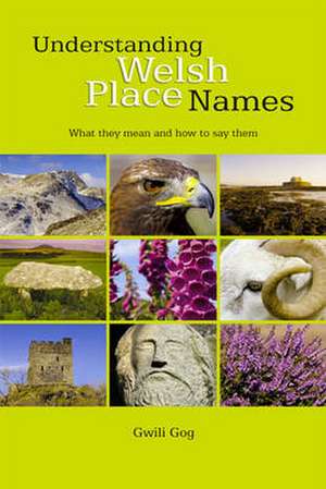 Understanding Welsh Place Names de Gwili Gog