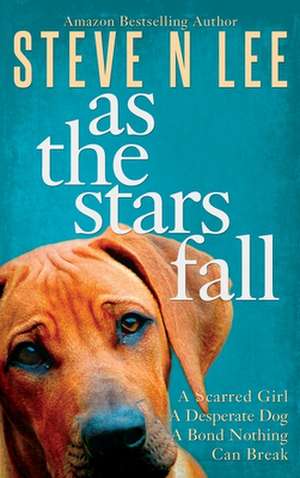 As The Stars Fall de Steve N Lee