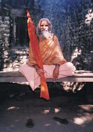 Dandi Swami de Paul Mason