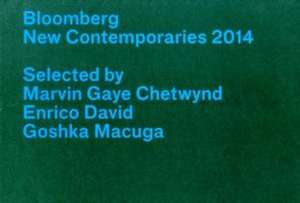 Bloomberg New Contemporaries 2014 de Enrico David