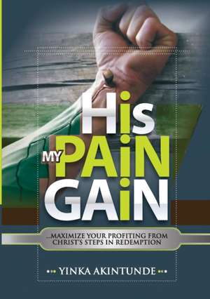 His Pain My Gain de Yinka Akintunde