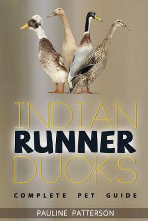 Indian Runner Ducks de Pauline Patterson