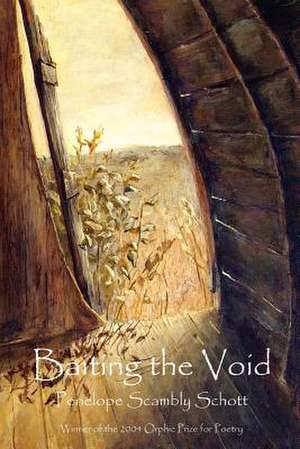 Baiting the Void de Penelope Scambly Schott