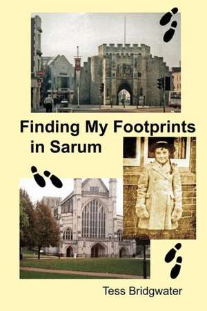 Finding My Footprints in Sarum: How to Buy, Sell, Rent, Share, Hand Down & Retire to Your Waterfront Getaway de Tess Bridgwater