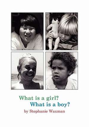 What Is a Girl? What Is a Boy?: Pattern Paintings 1987-2000 de Stephanie Waxman