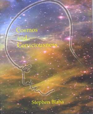 Cosmos and Consciousness: Quantum Computers, SuperStrings, Programming, Egypt, Quarks, Mind Body Problem, and Turing Machines Second Edition de Stephen Blaha