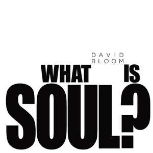 What Is Soul? de David Bloom