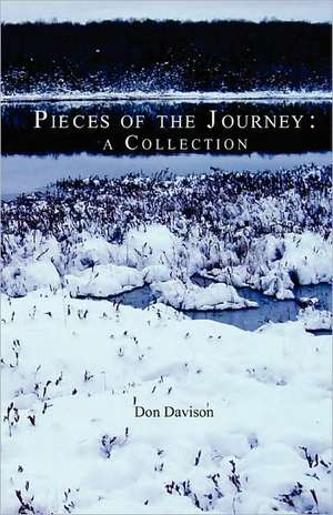 Pieces of the Journey: A Collection de Don Davison