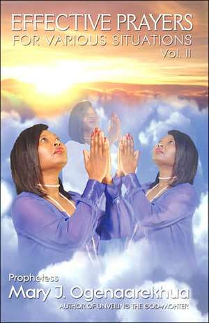 Effective Prayers for Various Situations de Mary J. Ogenaarekhua