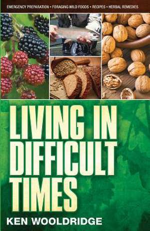 Living in Difficult Times de Ken Wooldridge