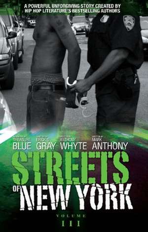 Streets of New York, Volume III de Erick S. Gray