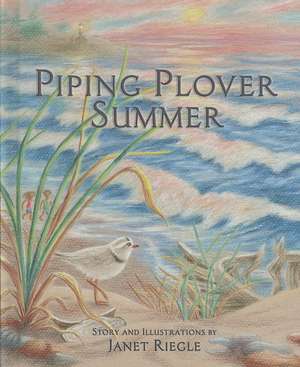 Piping Plover Summer de Janet Riegle