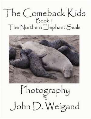 The Comeback Kids Book 1, the Northern Elephant Seals: The Birthplace of Slavery de Penelope Dyan