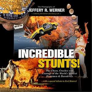 Incredible Stunts de Jeffery R. Werner