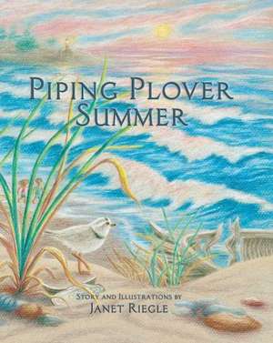 Piping Plover Summer de Jane Riegle