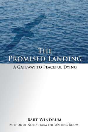 The Promised Landing de Bart Windrum