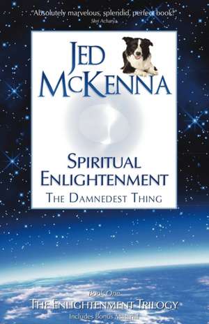 Spiritual Enlightenment: The Damnedest Thing de Jed McKenna