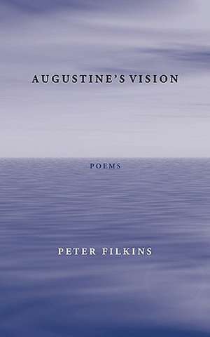 Augustine's Vision de Peter Filkins