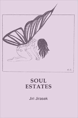 Soul Estates: Poems by Jiri Jirasek de Jiri Jirasek