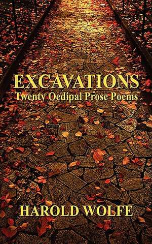 Excavations, Twenty Oedipal Prose Poems de Harold Wolfe