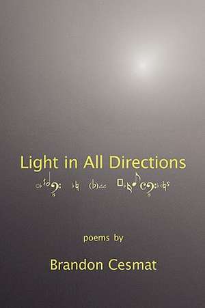 Light in All Directions de Brandon Cesmat