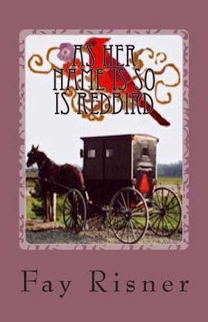 As Her Name Is So Is Redbird: Nurse Hal Among the Amish de Fay Risner