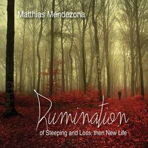 Rumination de Matthias Mendezona