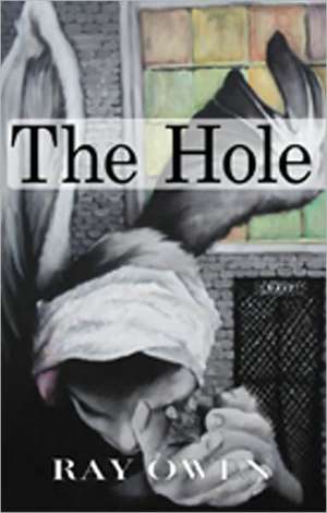 The Hole: How to Share Your Message, Your Products and Your Business with the World de Ray Owen