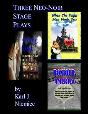 Three Neo-Noir Stage Plays: Based on the Screenplays de Karl J. Niemiec